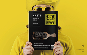 陇南绯茶品牌设计